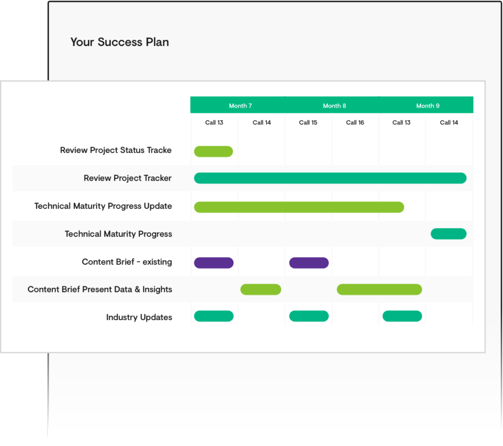 Custom Success Plan