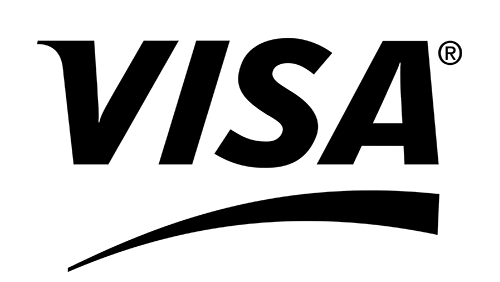 Visa Logo Newest